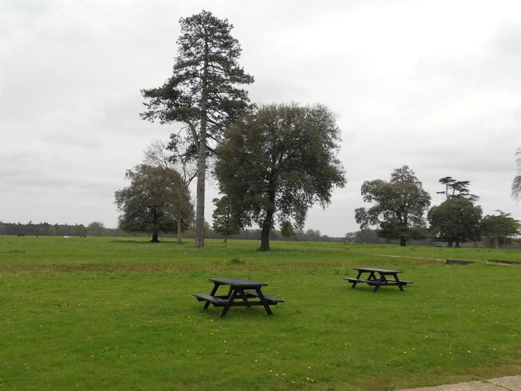 The Stables At Henham Park Bed & Breakfast Southwold Eksteriør bilde