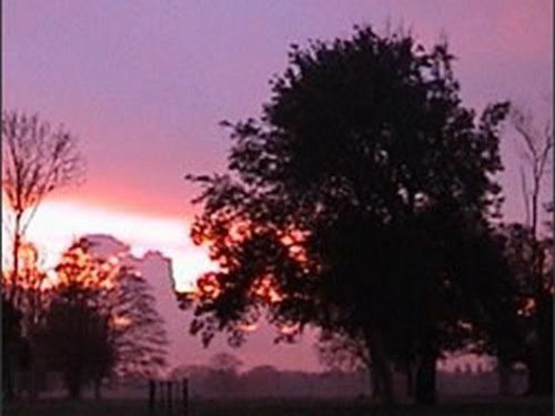 The Stables At Henham Park Bed & Breakfast Southwold Eksteriør bilde